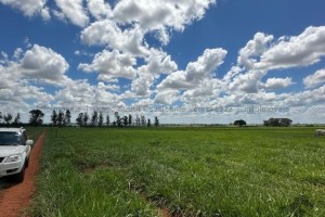 Fazenda pronta — beira do asfalto Juti - Foto 4