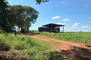 Fazenda pronta — beira do asfalto Juti - Foto 2
