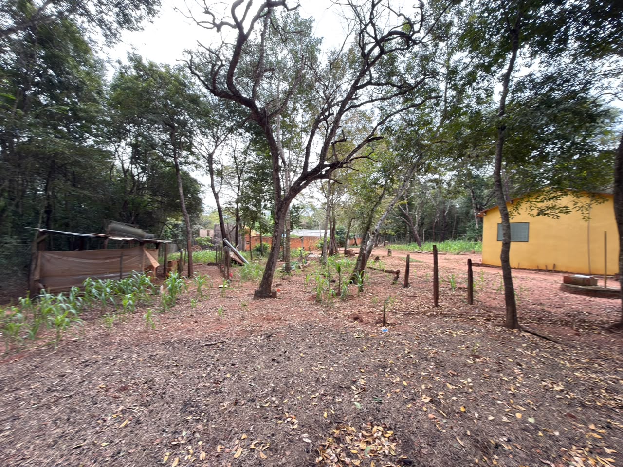 CHACARA DOS PODERES (3 CASAS CONSTRUIDAS, AREA GOURMET E PISCINA - Chácara em Chácara dos Poderes, Campo Grande