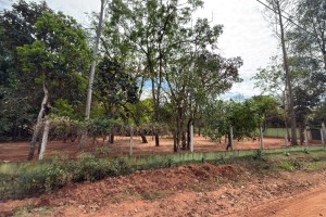 CHACARA DOS PODERES W2 - Foto 7