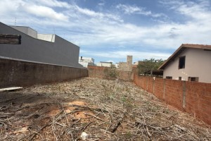 TERRENO RITA VIEIRA 1 - Foto 2